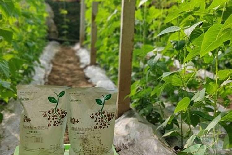 微生物菌剂和大量元素水溶肥和增瓜灵可以一起用吗