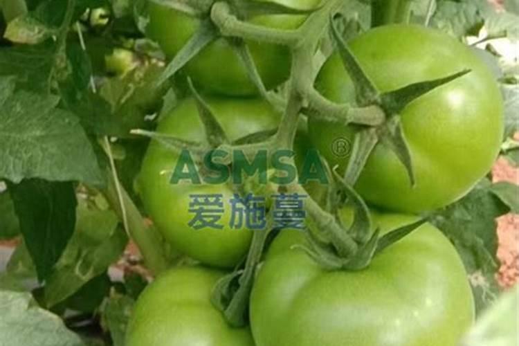 克瑞森葡萄去年没果没上肥今年会结果吗？