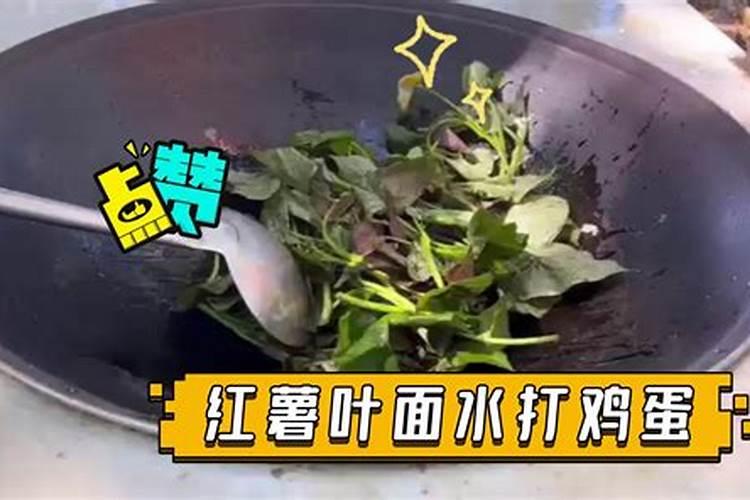 水溶肥溶化速度决定好与坏吗？
