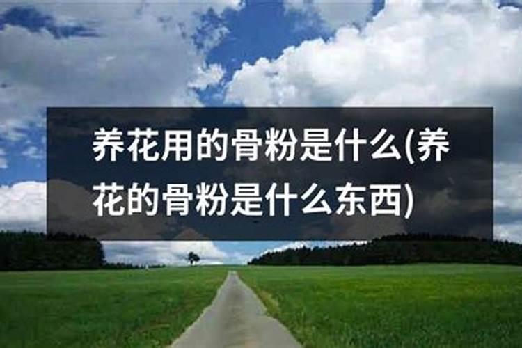 哪些磷肥可以养花