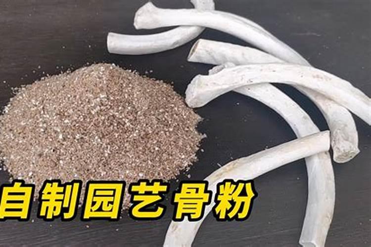 绣球花施什么肥最好