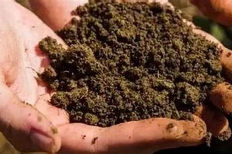 鱼蛋白使用注意事项