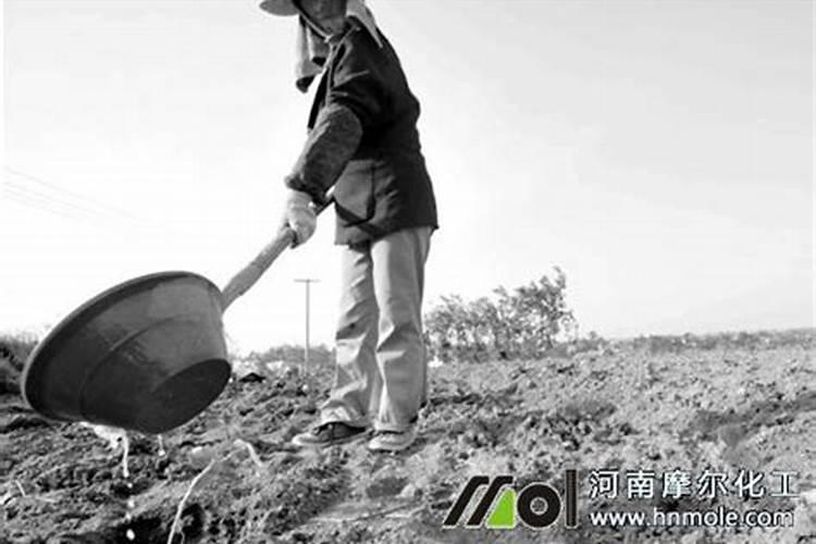 佐田氏鹰嘴桃施肥技术与病虫害防治高端论坛会赣州市龙南县