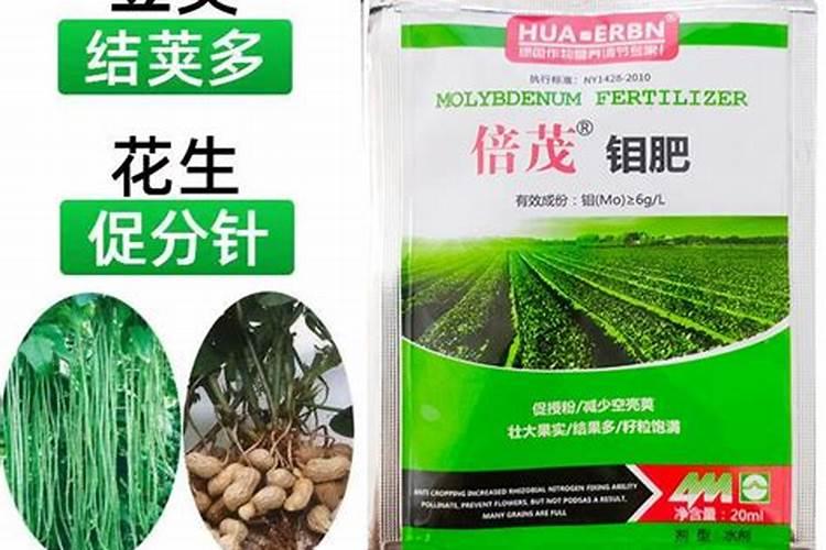 花生喷施钼酸铵在什么时期 使用量是多少