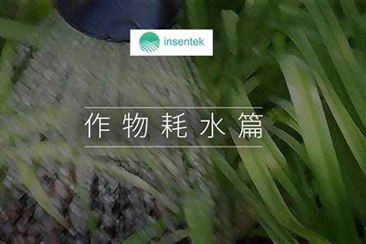 一年苹果树施什么肥比较好？