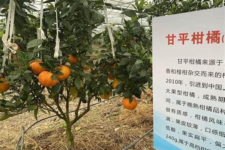 普乐美水槽怎么样？