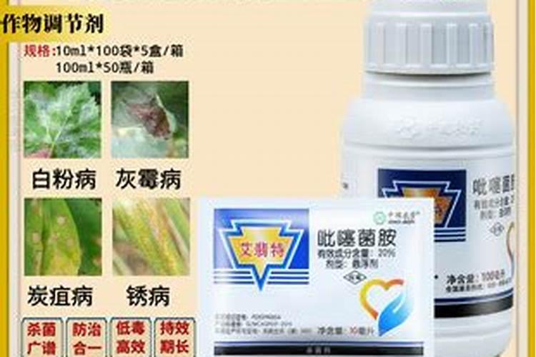果树秋季施氮肥可以吗