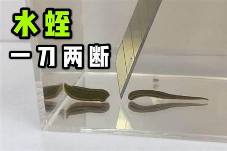 无土栽培营养液配方