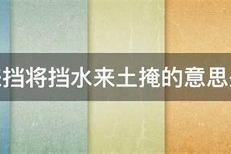 白芷种植时间与生长周期
