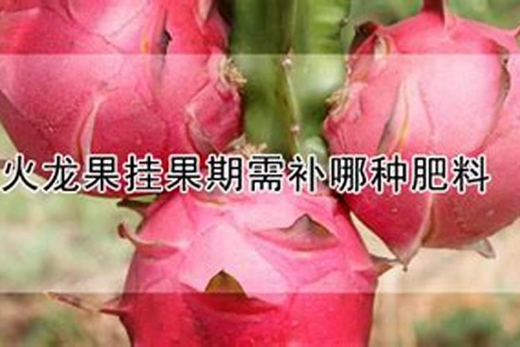 大豆的正确施肥方法