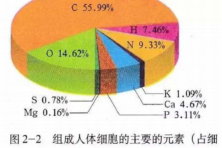 葡萄柚和柚子的区别？