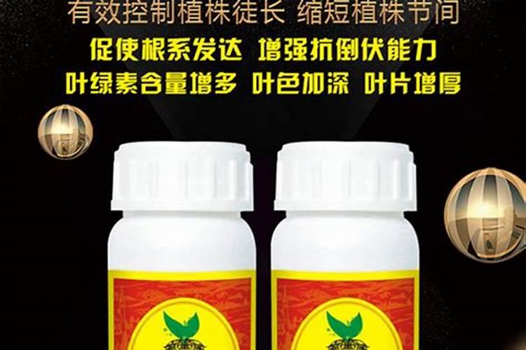 植物徒长是什么意思,多肉植物徒长的原因和解决方法