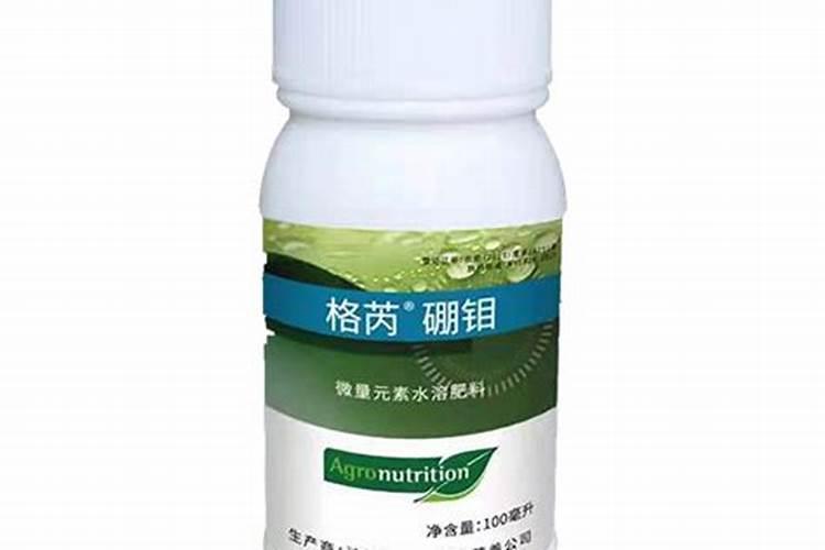 苹果树补钙的叶面肥有哪些