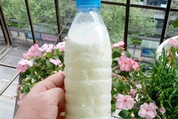 磷酸二氢钾可以浇蝴蝶兰吗
