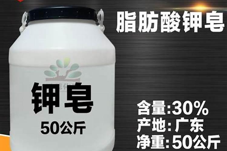 家庭养植花卉常见病虫害及其防治方法
