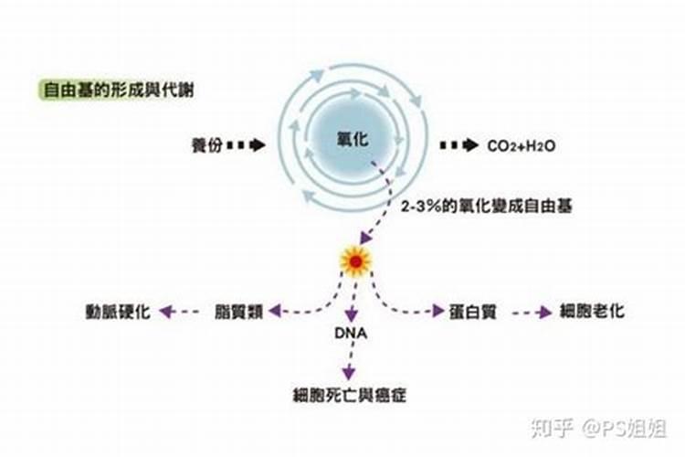 海洋鱼蛋白肽的功效是什么？