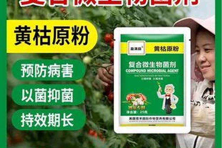 骨粉是什么肥料？