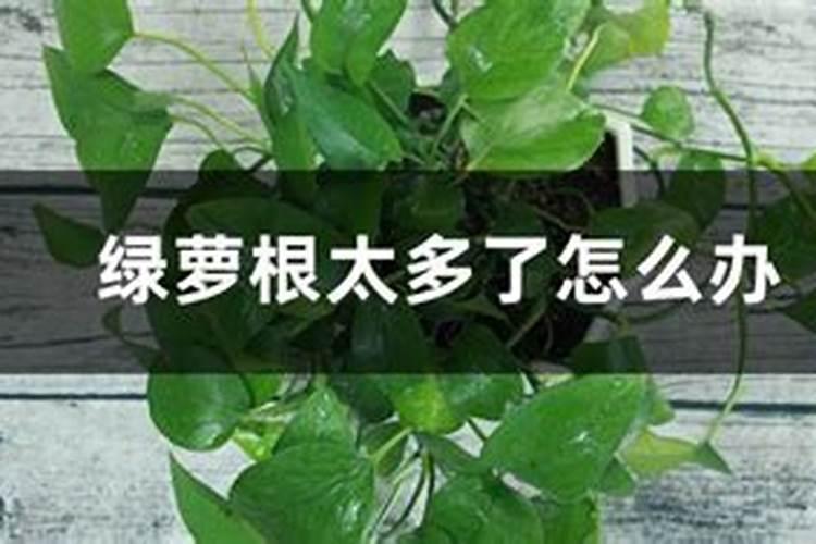 济南天邦和万豪化工什么关系