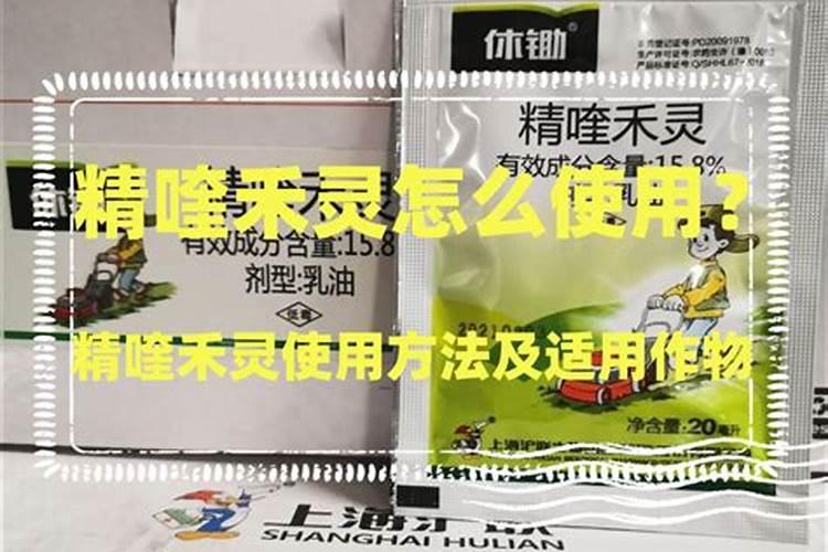 月季嫁接芽多久能成活？