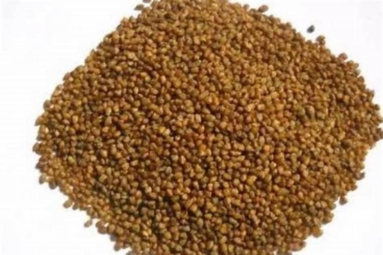 玉米底肥一次性施肥 氮磷钾 各用多少？