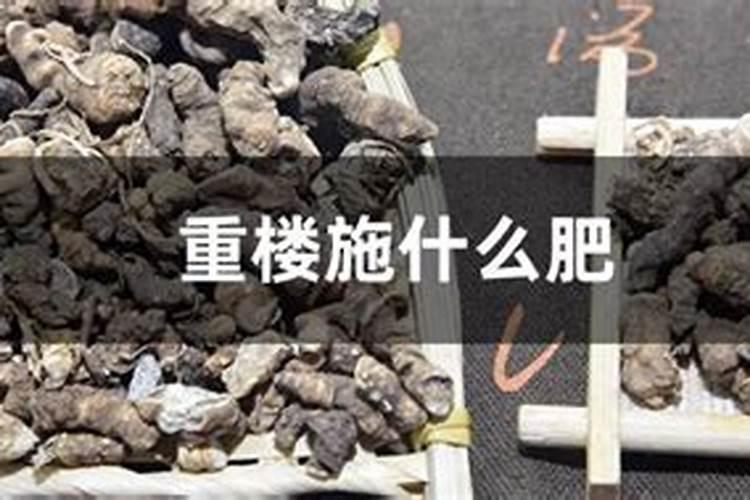重楼的种植方法