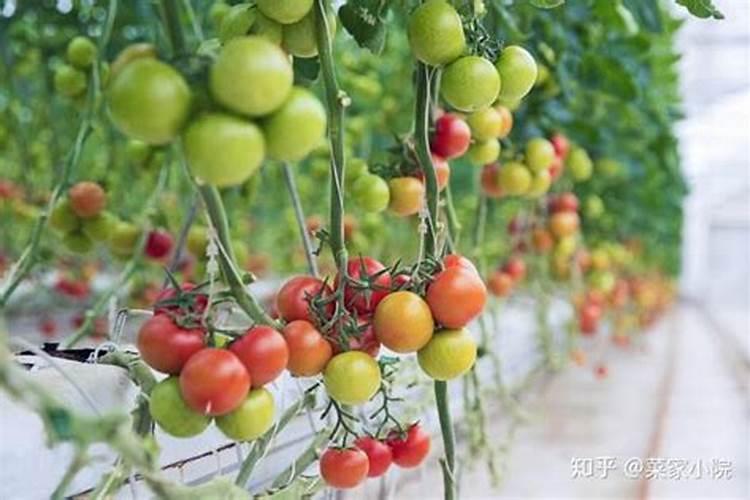 瑞士诺华制药有限公司历程