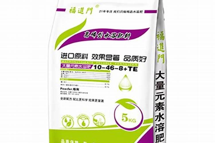 墨兰叶子发黄是什么原因