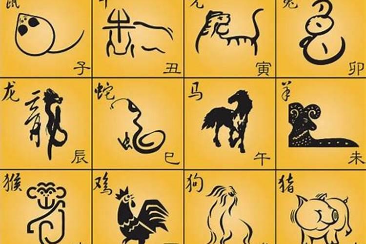 老农民常说的“种菜浇三水、施三肥”是什么,你知道吗？