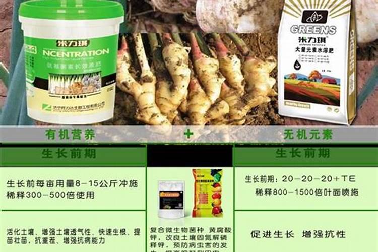 请问大姜地冬耕及春耕各用什么肥料合适 前提是我不想使种肥怕伤苗