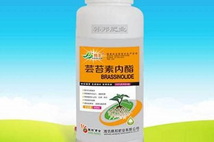 小麦施肥的正确方法