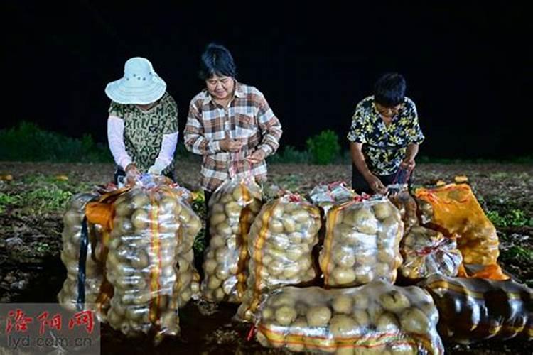 你的家乡有哪些让人感觉「惊艳」的特色美食？