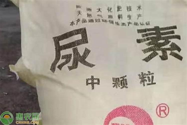 尿素一袋跌5元,复合肥一吨降100元,4月化肥会大跌吗？