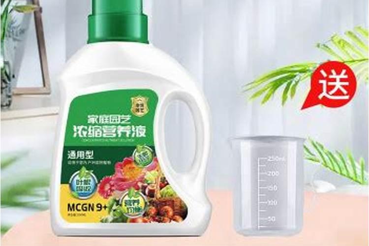 养花专用肥料养花专用肥料有哪些