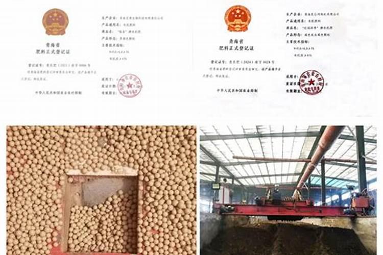 青海三夫农牧科技有限公司怎么样？