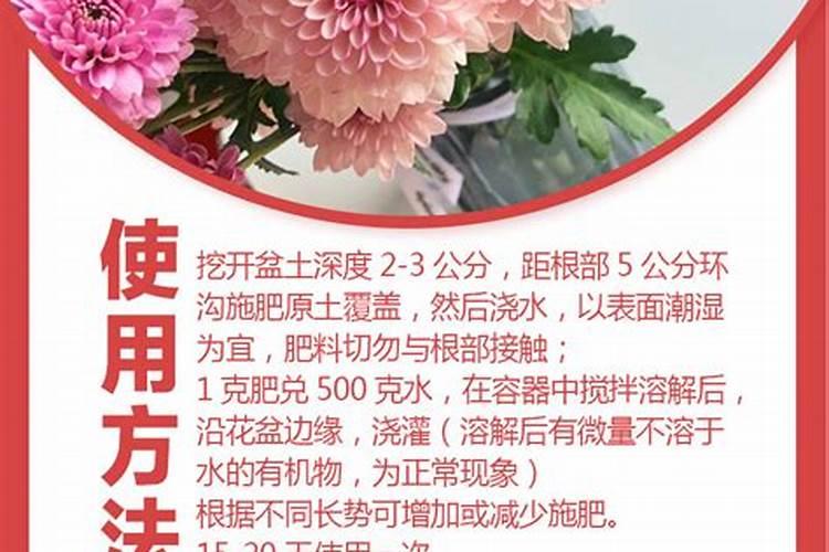 河南水溶肥十大名牌