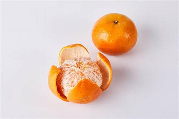 新种柚子树下面放什么底肥