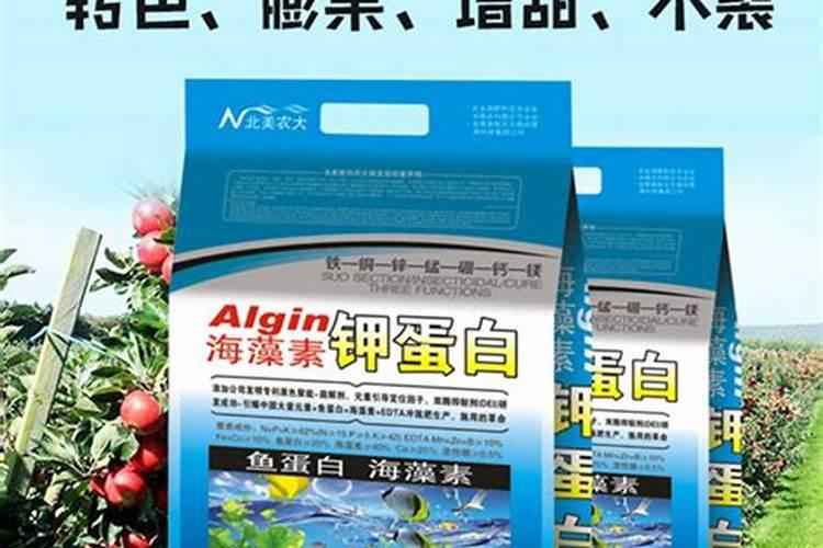 北美枫香树怎么浇水最好