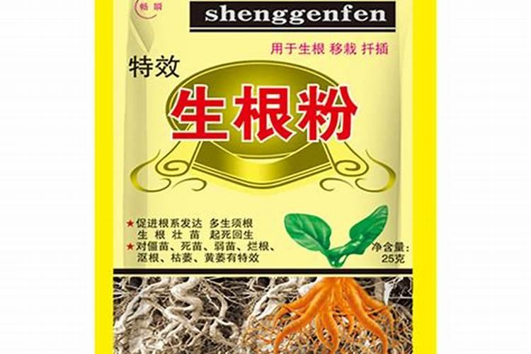 黄瓜栽培所施用的有机肥主要有哪些？
