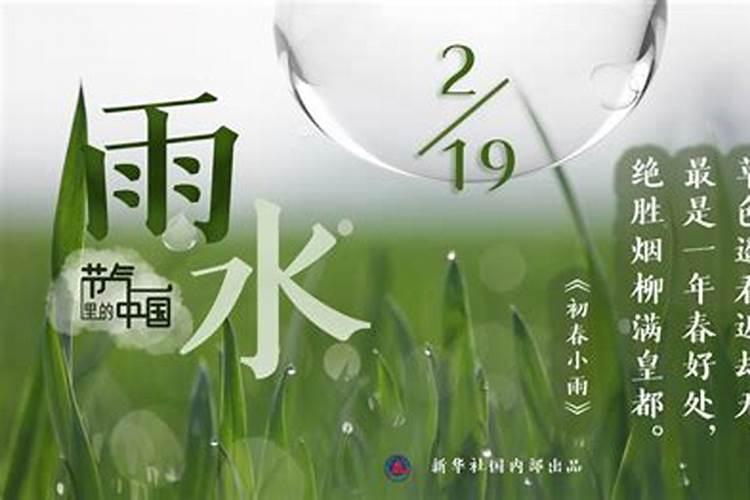 摇钱树施肥方法,用什么肥好