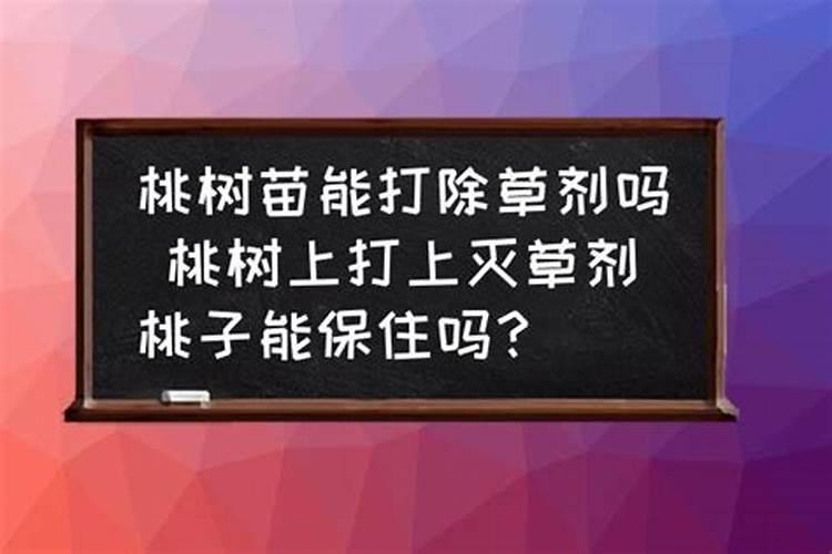 磷肥撒在地表面可以吸收吗
