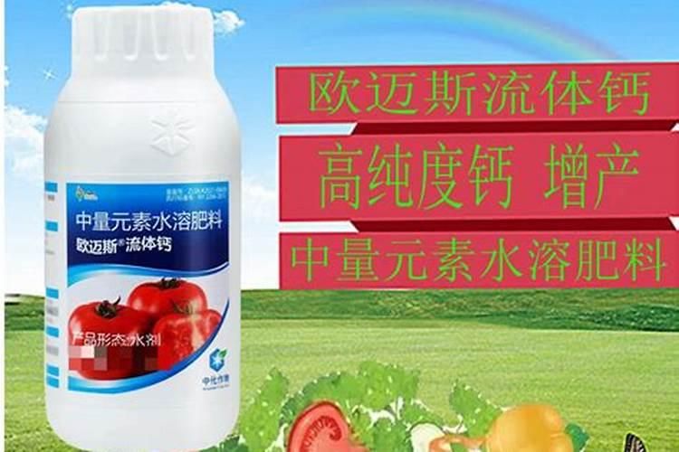 芸苔素内酯哪种好