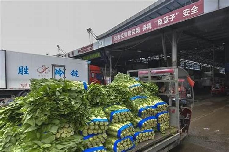 福州西瓜厂家哪家品质好？
