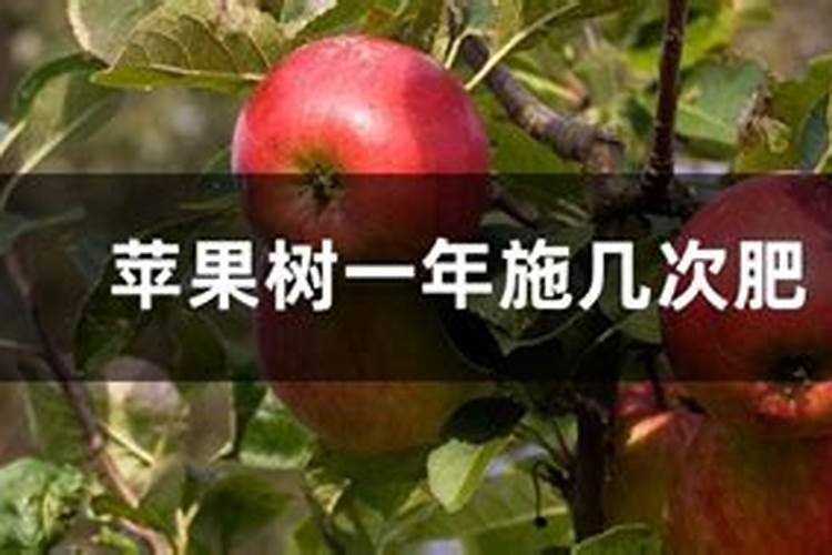 绷肥钼肥半大豆种硼肥能半大豆种吗？