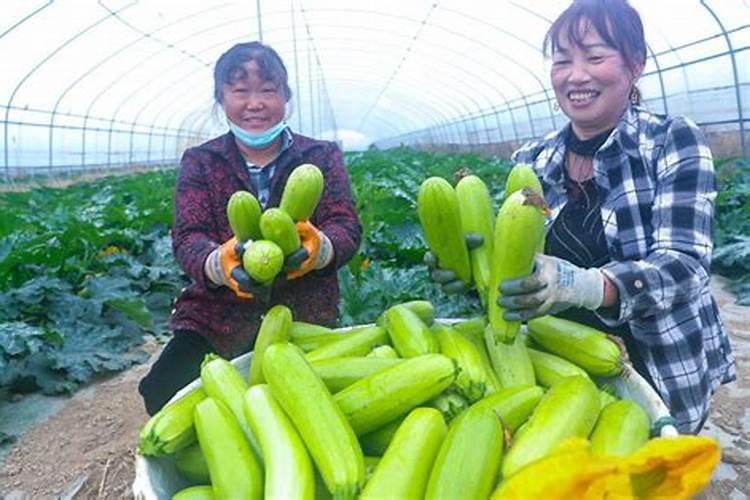 磷肥对环境的影响