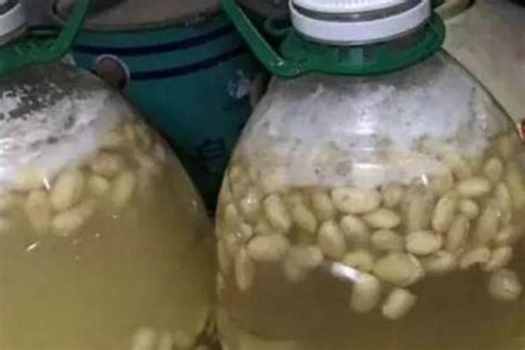 用什么肥料种值无筋豆,无筋豆颜色更绿？