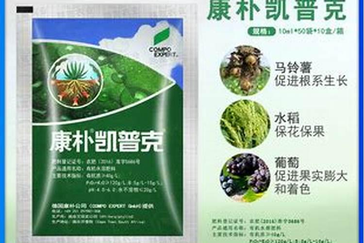 兰花开花能浇水吗