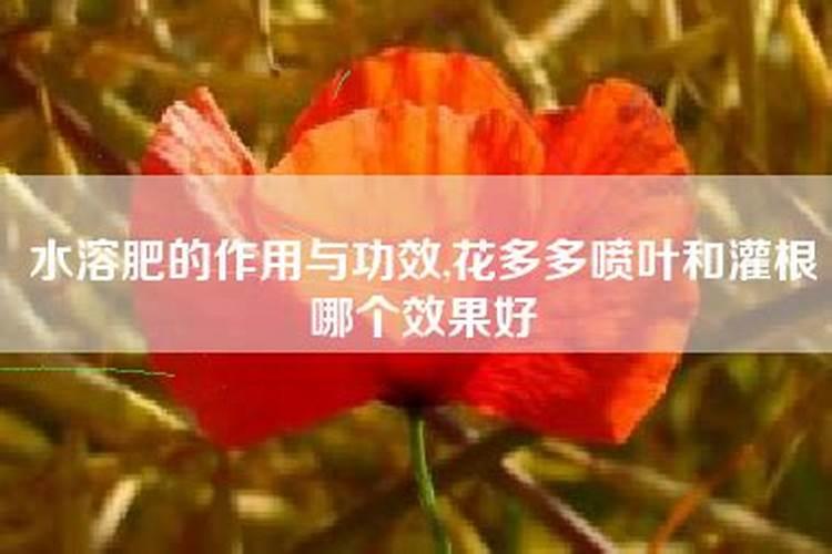 大量元素水溶肥的效果,如何辨别好坏
