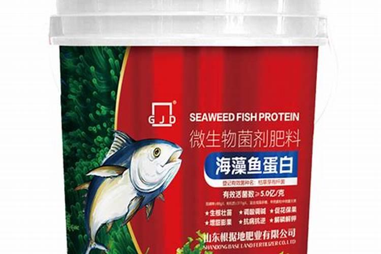 四川栽培的豇豆主要有哪些品种？