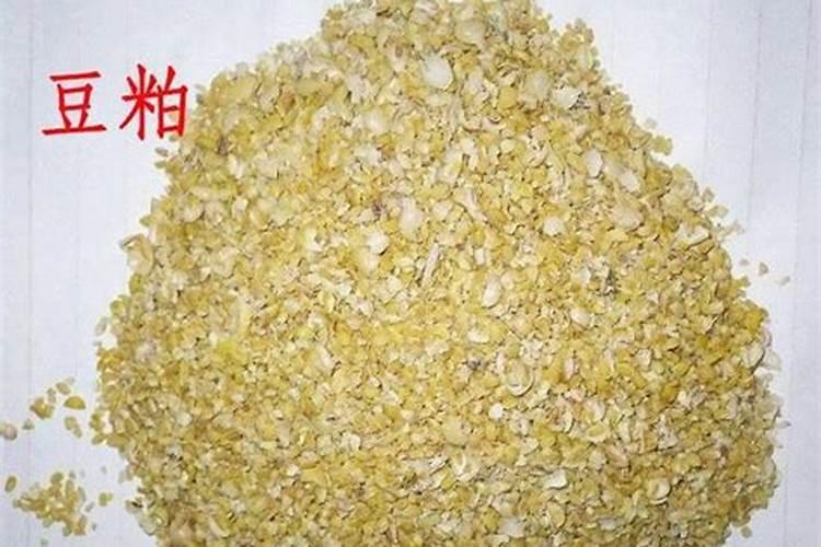 新栽兰花叶面可以喷水吗