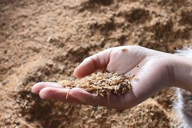 水稻秸秆还田的方法及注意事项有哪些？